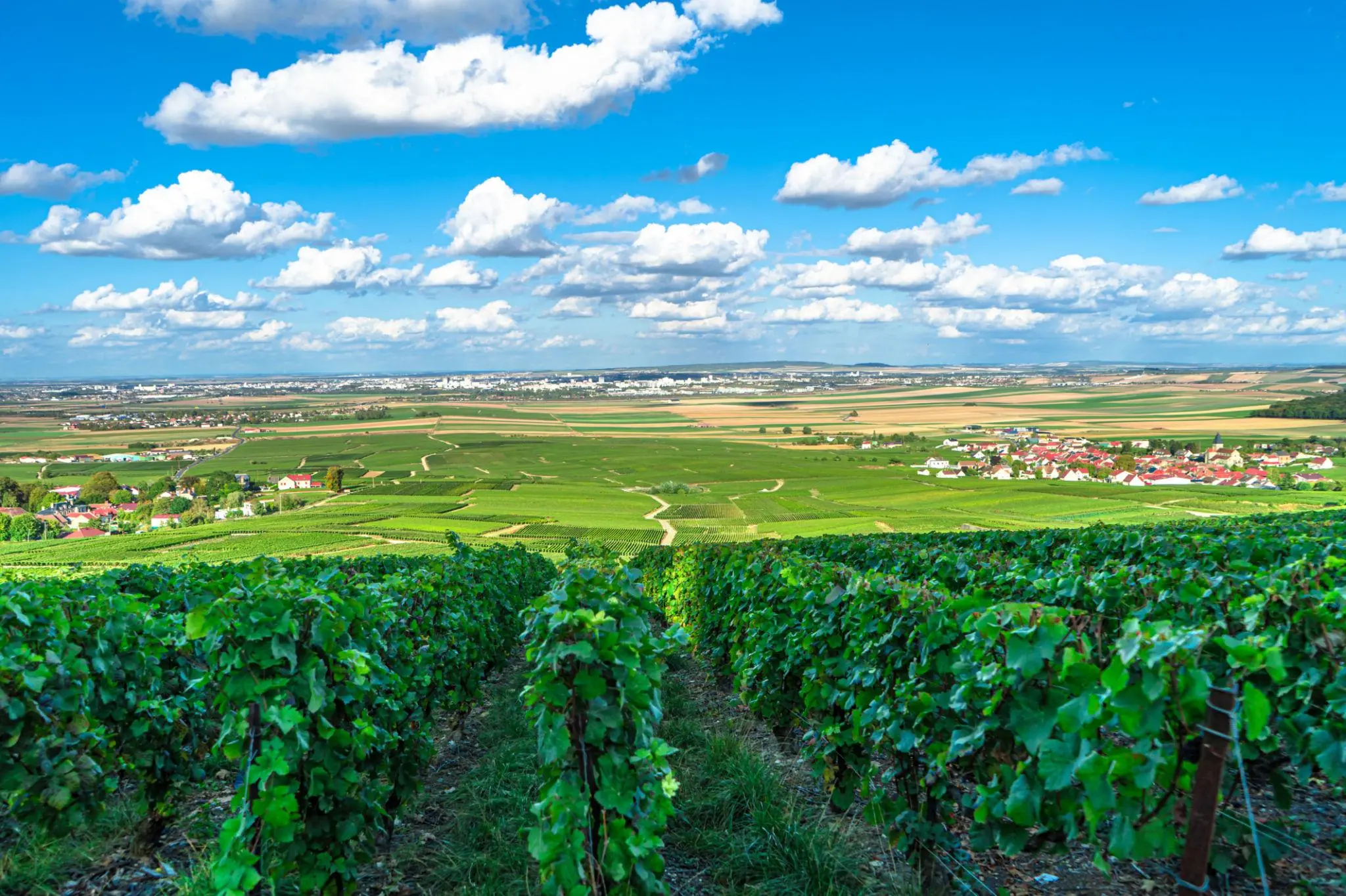 France-img (2)