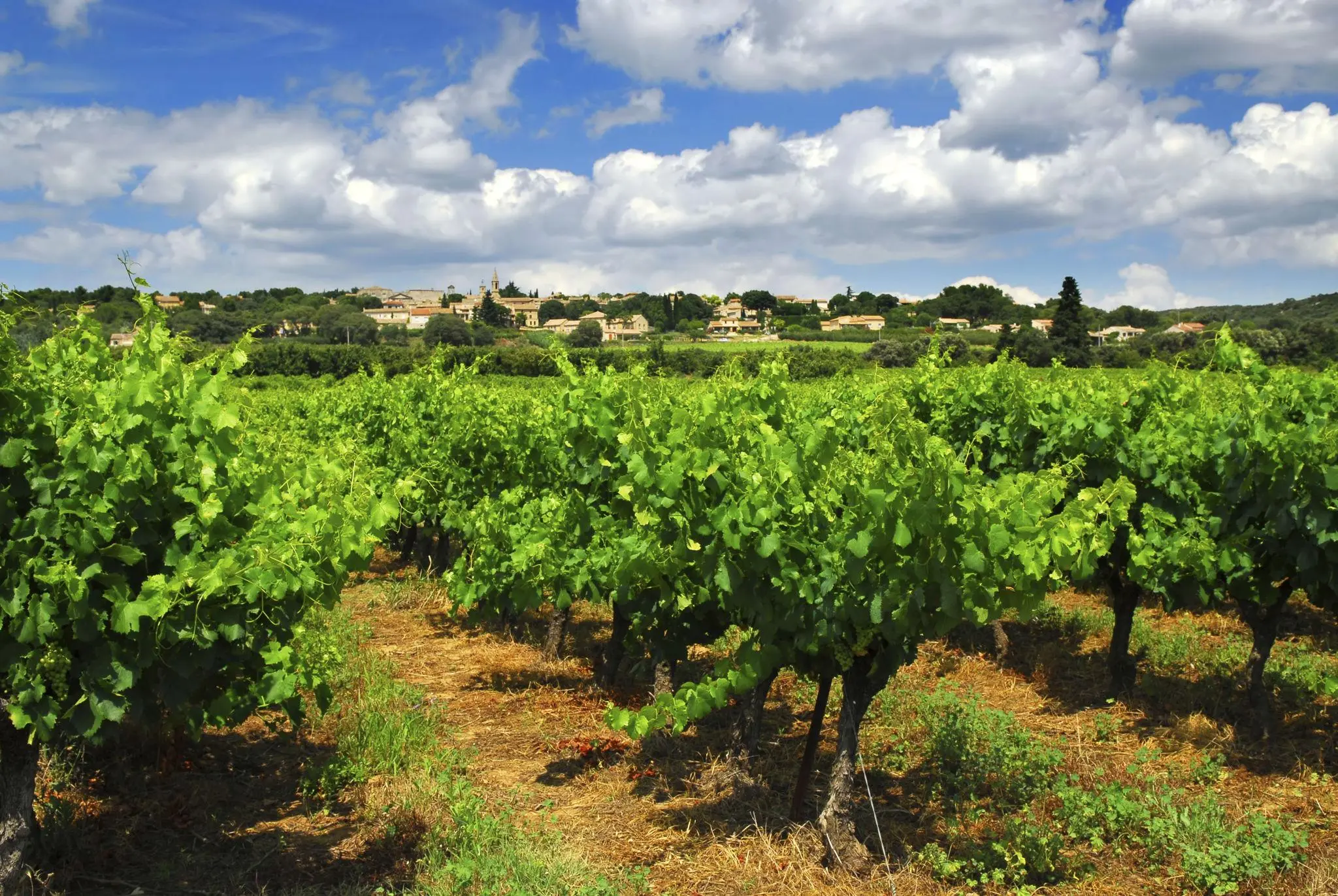 France-img (3)