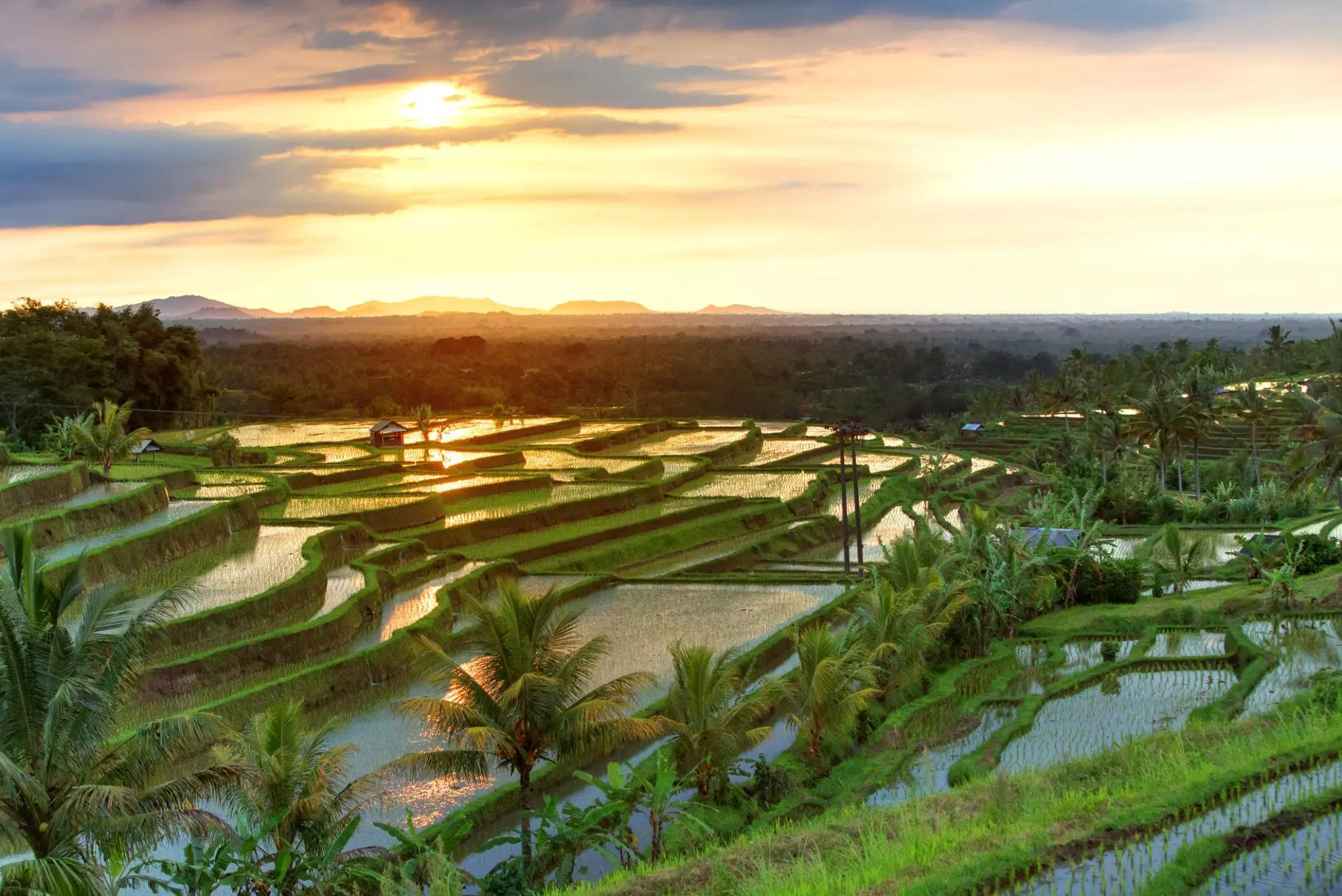 Indonesia-img (3)