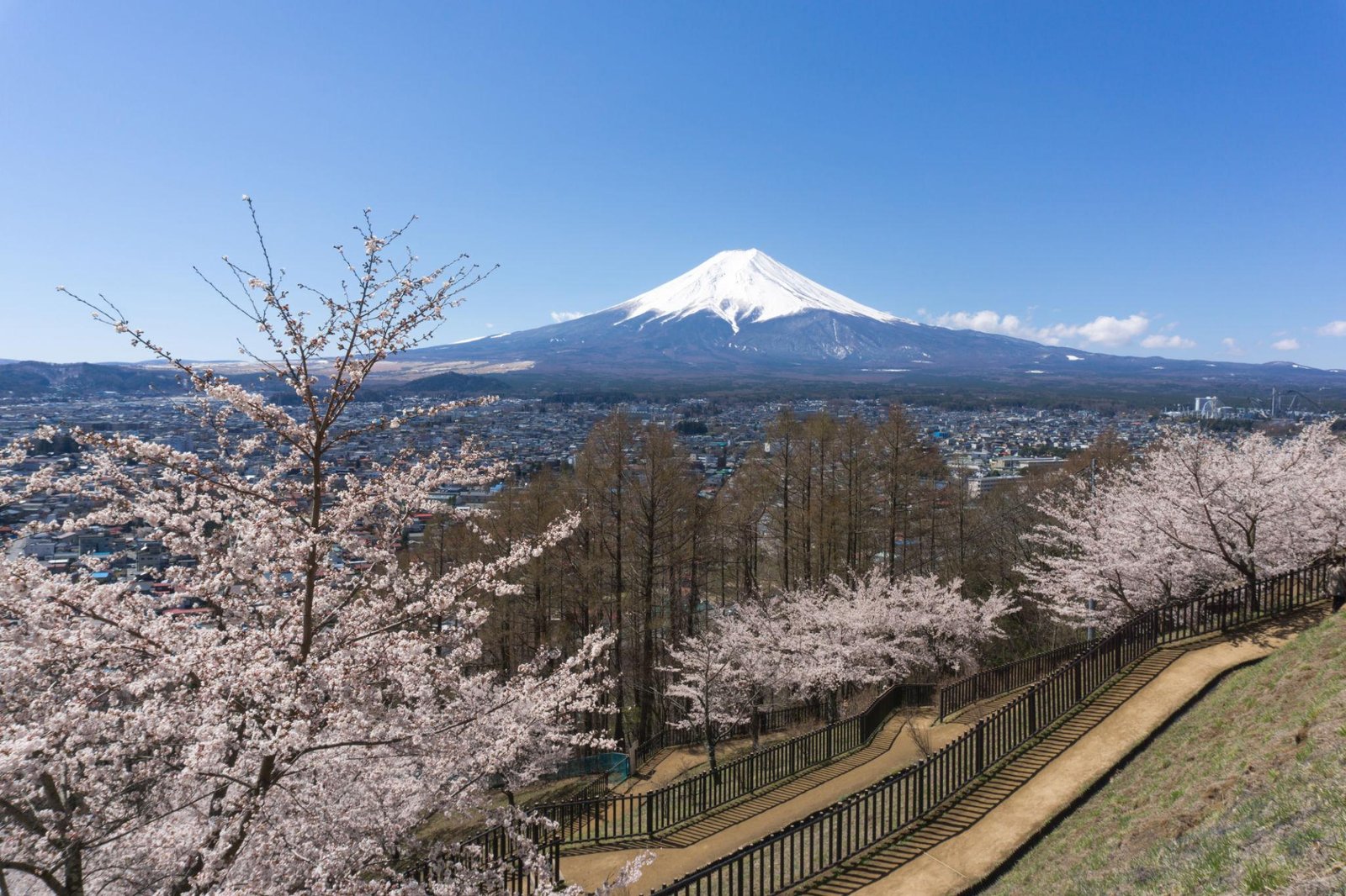Japan-journey-img (2)
