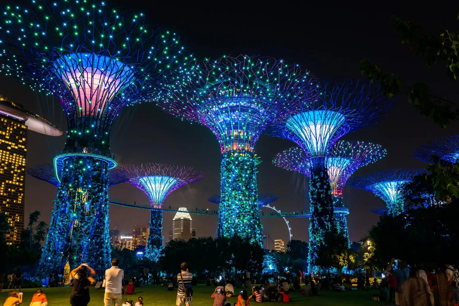 Singapore-img (2)